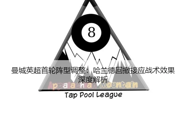 man-cheng-ying-chao-shou-lun-zhen-xing-tiao-zheng-ha-lan-de-hui-che-jie-ying-zhan-shu-xiao-guo-shen-du-jie-xi-2-956.jpg