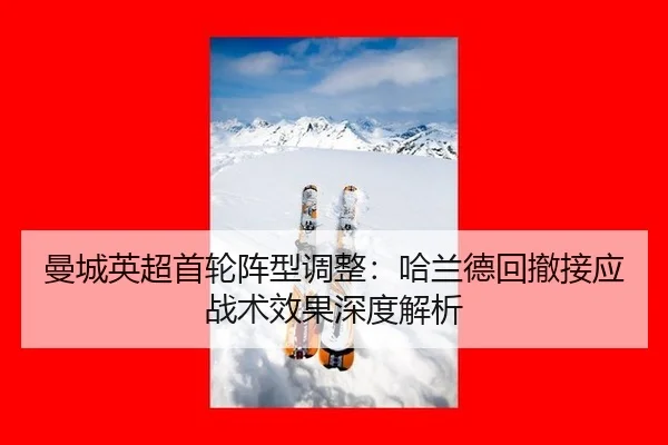 man-cheng-ying-chao-shou-lun-zhen-xing-tiao-zheng-ha-lan-de-hui-che-jie-ying-zhan-shu-xiao-guo-shen-du-jie-xi-3-839.jpg