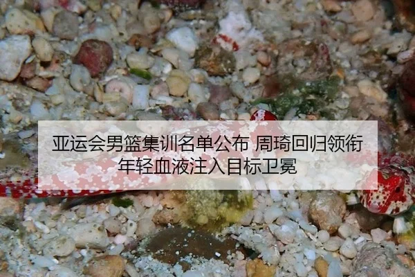 ya-yun-hui-nan-lan-ji-xun-ming-dan-gong-bu-zhou-qi-hui-gui-ling-xian-nian-qing-xue-ye-zhu-ru-mu-biao-wei-mian-2-418.jpg