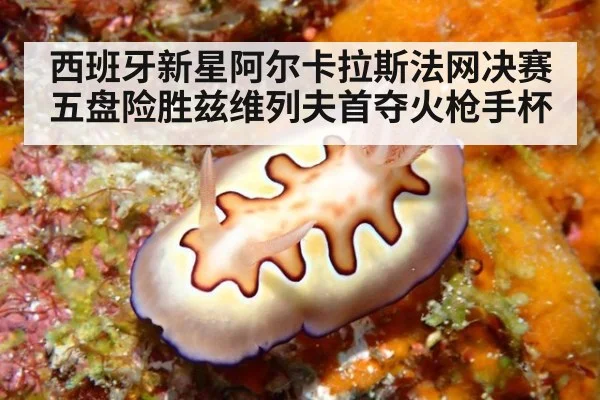 西班牙新星阿尔卡拉斯法网决赛五盘险胜兹维列夫首夺火枪手杯
