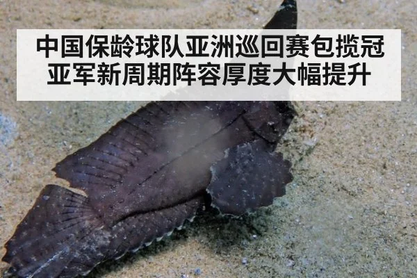中国保龄球队亚洲巡回赛包揽冠亚军新周期阵容厚度大幅提升