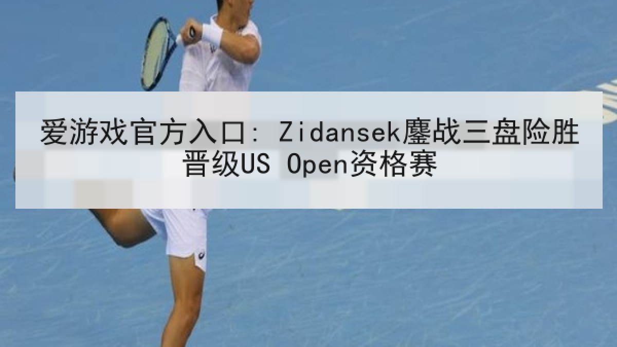 爱游戏官方入口: Zidansek鏖战三盘险胜晋级US Open资格赛